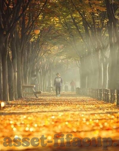 炸金花扑克图片-炸金花扑克，经典桌游的魅力与图片展示