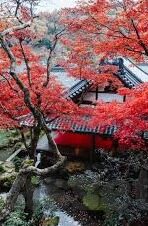 足球比分国安-国安足球，比分背后的荣耀、遗憾与未来之路